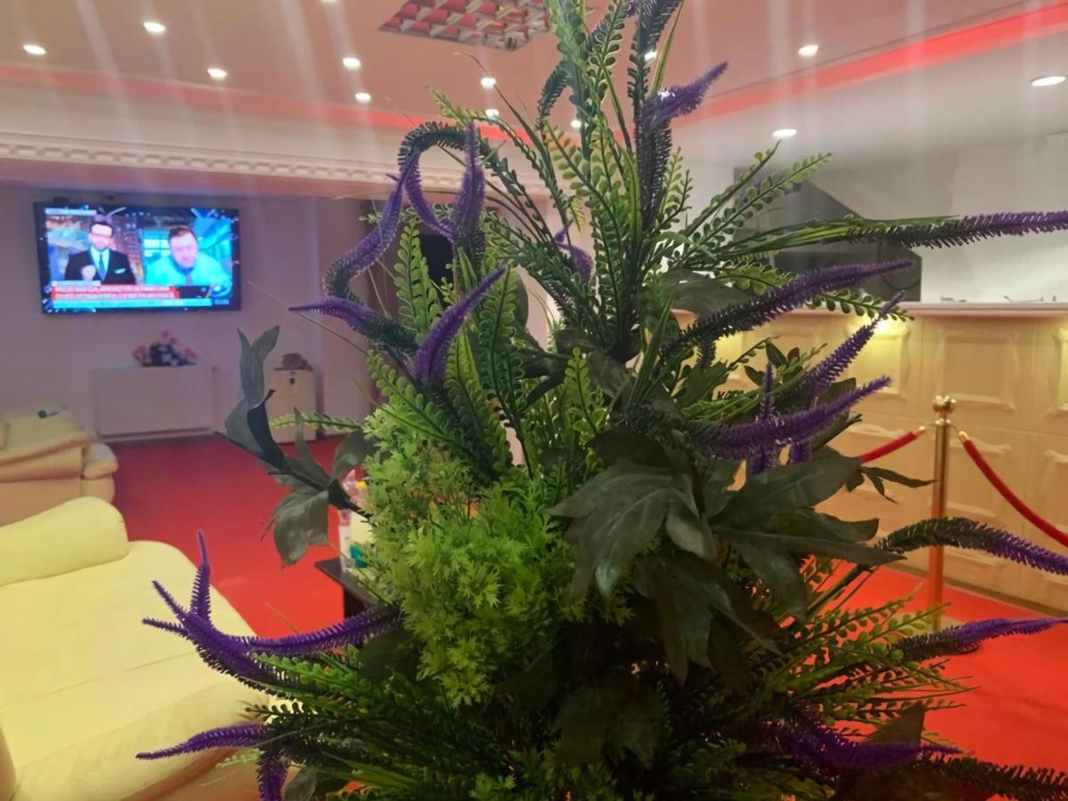 Voluntari Karra Hotels מראה חיצוני תמונה